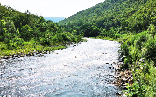 x净化成饮用水设计方? width=